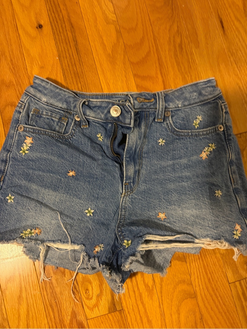 American Eagle Outfitters Blue Denim Shorts with Embroidered Flowers